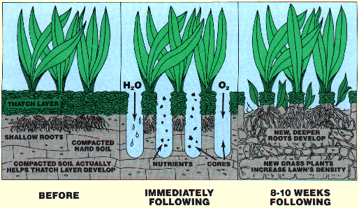 Noblesville lawn aerating